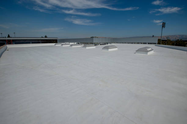 Best Steel Roofing  in Lewisburg, OH
