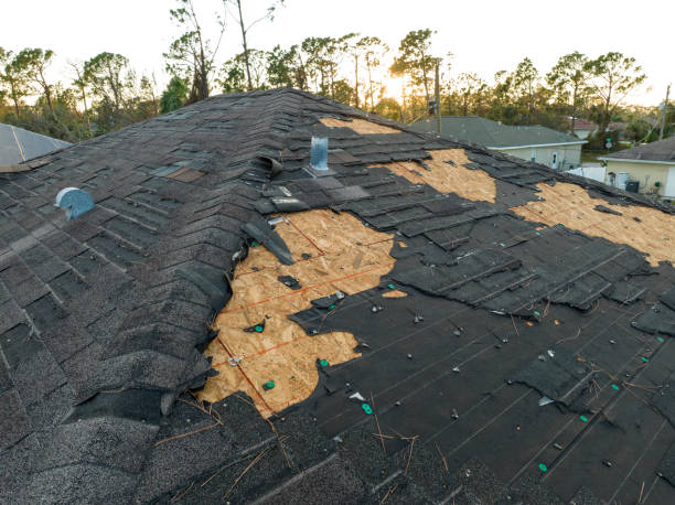 Best Roof Maintenance and Cleaning  in Lewisburg, OH